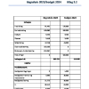 Generalforsamling 2024, regnskab & budget